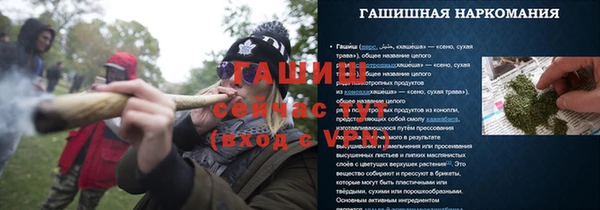 шишки Белокуриха