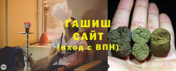 шишки Белокуриха