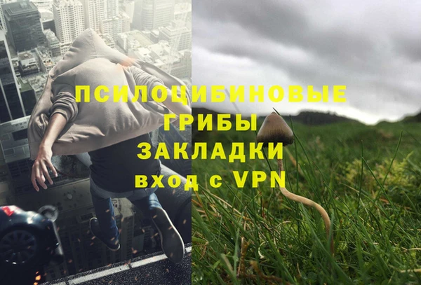 шишки Белокуриха