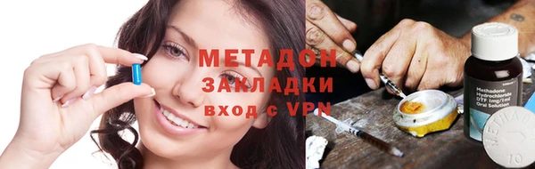 шишки Белокуриха