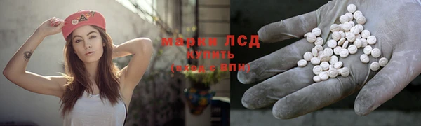 шишки Белокуриха