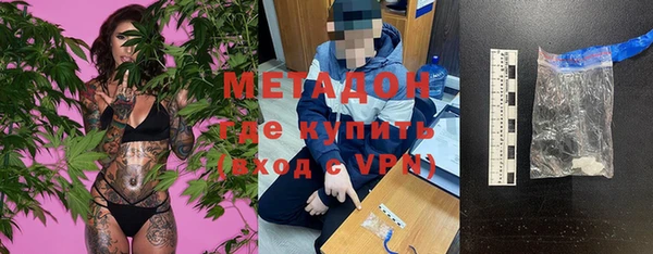 шишки Белокуриха